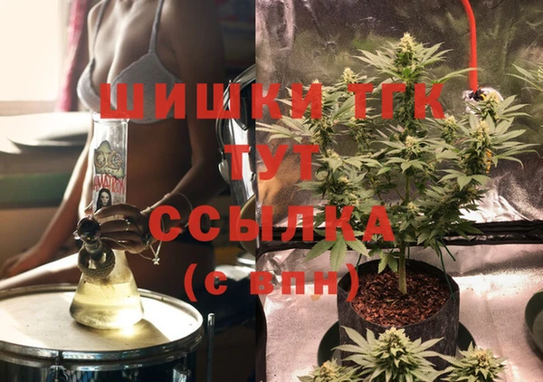 гидра Михайловск
