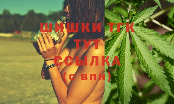 стаф Белокуриха