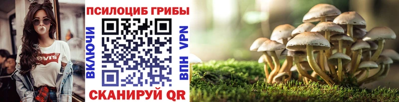 Галлюциногенные грибы мицелий  где купить   Бологое 